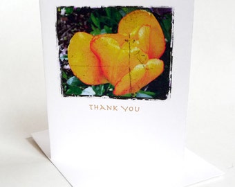 Thank You Card Tulip Botanical