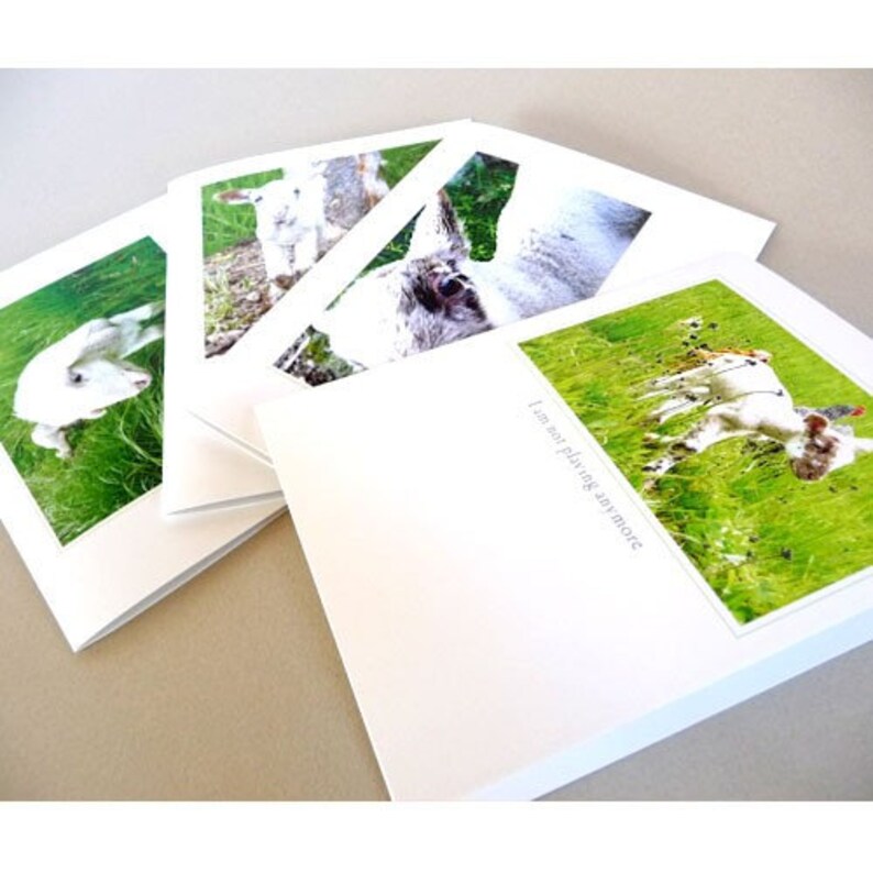 May include: Four white greeting cards with images of baby goats in a grassy field. The text on one card reads "I am not playing anymore".