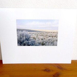 Photography Desert Sage Fine Art Original Print image 2