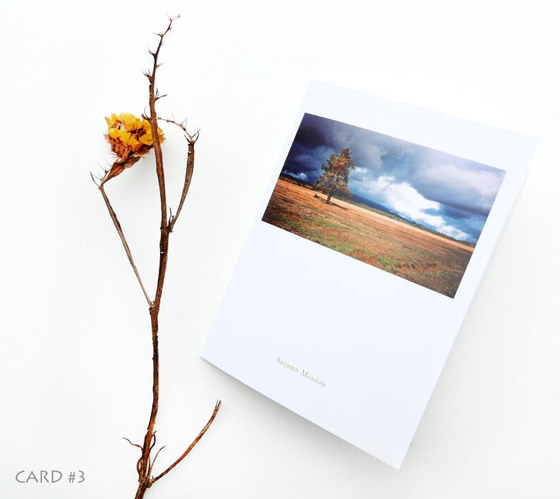 Note Cards Art Landscape Photography Pastoral Whimsical image 4