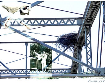 Fine Art Photography Photomontage Bird Nest Construct No. 5