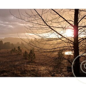 May include: A silhouette of a tree with bare branches against a hazy, golden sunset sky. The sun is setting behind the tree, casting a warm glow on the landscape. The ground is covered in brown grass and there are a few small trees in the foreground.