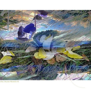 Fine Art Photography October Sky Autumn Leaves Stormy Clouds  Print