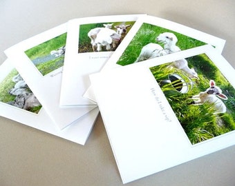 Spring Greeting Cards Set: Baby Lambs Farm Barn Life Collection