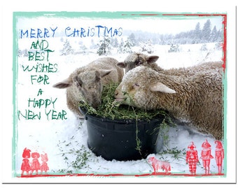 Christmas Cards Lamb Pastoral Sheep Country Life