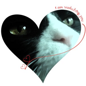 Handgemaakte kaart, ik hou van je kat hart grote groet kaart ben ik Watching You