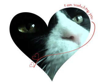 Handmade Card I Love You Cat Heart Large Greeting Card I Am Watching You