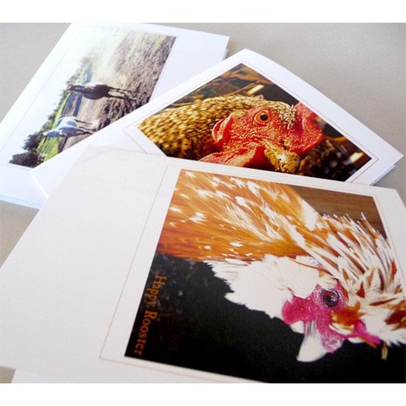 Rooster Greeting Card Andy Warhol Spring Blank Art