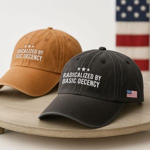 Radicalized By Basic Decency Cap, Embroidered Anti Trump, Social Justice Activist Hat, Social Justice Activist Hat,Save Democracy Resistance
