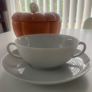 Op de afbeelding: Een witte theekop met twee oren staat op een bijpassende schotel. Achter de kop staat een oranje pompoenvormige keramische container met een groene steelvormige handgreep. De items staan op een witte tafel.