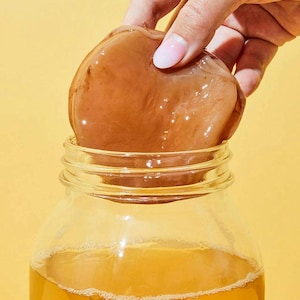 SCOBY KOMBUCHA 100% Natural Starter Liquid | Scoby Kombucha with instructions| Organic Scoby |Scoby Mushroom|Kombucha Kit|DIY at home kit
