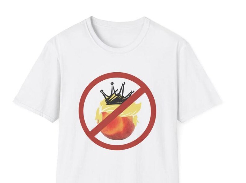 No Kings Day, June 14, Anti Trump, no fascism, save democracy, due process for all, immigrant rights, anti ICE, digital download sticker, printable protest file, png, pdf, digital sticker