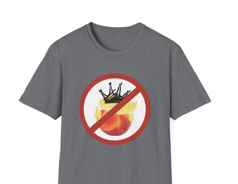 No Kings Day, June 14, Anti Trump, no fascism, save democracy, due process for all, immigrant rights, anti ICE, digital download sticker, printable protest file, png, pdf, digital sticker