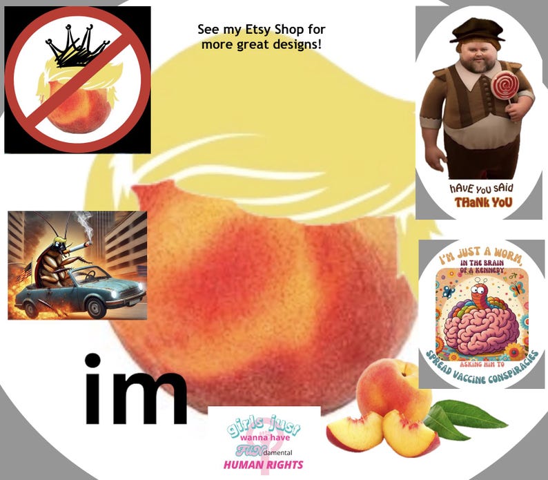 May include: A collection of illustrations and text. Features a peach with a crown crossed out, a cockroach driving a car, a figure with a lollipop, and a brain with a worm. Text includes "See my Etsy Shop for more great designs!" and "girls just wanna have fundamental HUMAN RIGHTS."