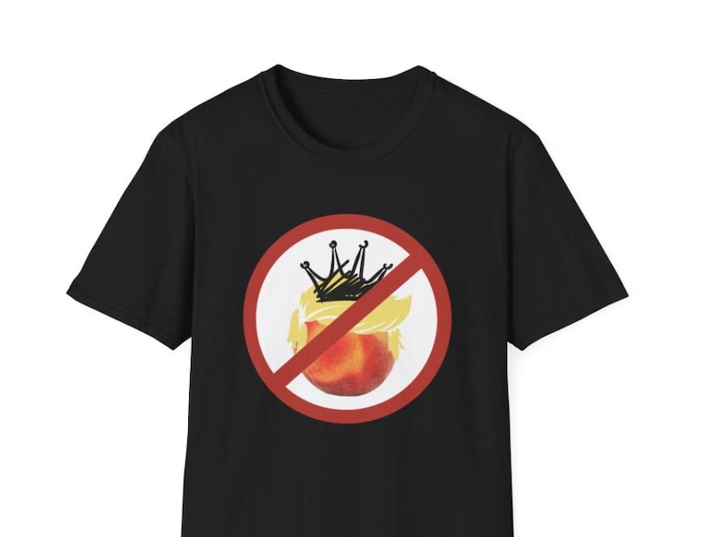 No Kings Day, June 14, Anti Trump, no fascism, save democracy, due process for all, immigrant rights, anti ICE, digital download sticker, printable protest file, png, pdf, digital sticker