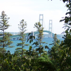 May include: A view of the Mackinac Bridge from a wooded area. The bridge is a suspension bridge with two towers and a green roadway. The bridge spans a body of water with blue water and a green shoreline in the distance.