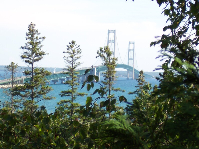 May include: A view of the Mackinac Bridge from a wooded area. The bridge is a suspension bridge with two towers and a green roadway. The bridge spans a body of water with blue water and a green shoreline in the distance.