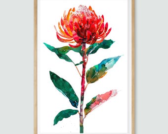 Waratah Dreams Watercolor Print: Australian Native Floral Art (Digital Download)