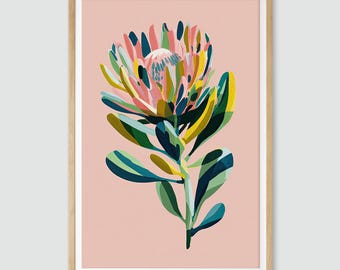 Protea Wall Art, Protea Blush Dance, Gouache Painting, Modern Australian Botanical Native Flower Print, Native Floral Printable