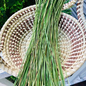 May include: A woven basket with a brown and beige pattern holds a bundle of long, green pine needles. The basket is round with a handle, and the needles are a vibrant green color. The background is a blurred view of green foliage.