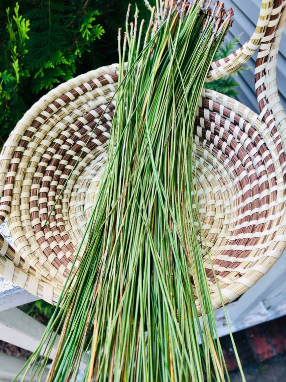 Longleaf Pine Needles 6oz Fresh Pine Needles for Basket Etsy