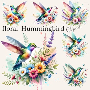 Aquarel kolibrie collectie clipart, png pastel vogel clipart, kolibrie png, lente bloemen clip art bundel, kolibrie digitale kunst