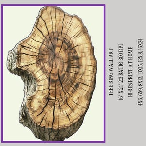 Tree Ring Wall Art | Printable Digital Art | Natural Tree Structure for Home Decor | Tree Stump Wall Art | Digital Download Tree