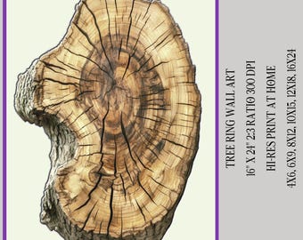 Tree Ring Wall Art | Printable Digital Art | Natural Tree Structure for Home Decor | Tree Stump Wall Art | Digital Download Tree