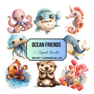 31 Ocean friends, Underwater animals clipart pack, transparent background, commercial use, Dolphins, Sea Turtles, Seal, Seastar, Sea Animals