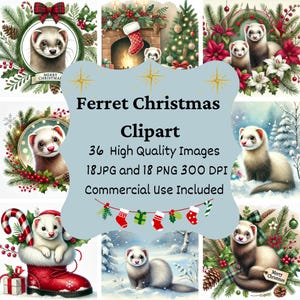 Aquarell Weihnachts Frettchen Clipart, 18PNG & 18JPG 300DPI.  Frettchen Bild, druckbare Kunst, Haustier Clipart für kommerzielle Nutzung. Sofort Download