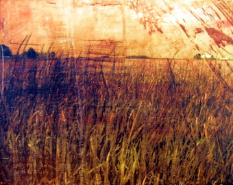 Fields, Midwest, Farm - Fine Art Print - Near Home - Open Spaces, Farming Print, Midwest Fine art, Rural Print, Harvest