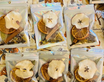 Abundance Simmer Pot Kit | Prosperity Ritual Blend | Orange, Apple, Cinnamon, Clove | Manifestation & Home Blessing | Witchy Gift