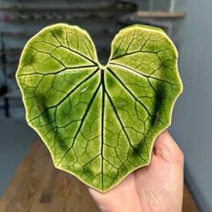 Op de afbeelding: Een hartvormige keramische schaal ontworpen als een groen blad. Het oppervlak heeft een glanzende afwerking met opvallende donkergroene nerven die vanuit het midden uitstralen, wat een gedetailleerd botanisch patroon over de hele schaal creëert.
