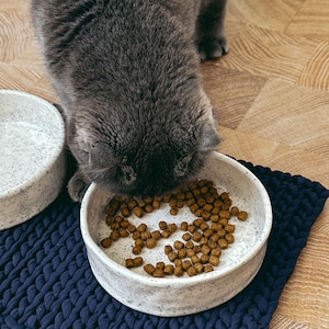 May include: A grey cat eating from a round, speckled white ceramic bowl filled with brown dry food. A second identical bowl sits nearby on a dark navy blue braided mat. The bowls have a textured, off-white finish with small black flecks.