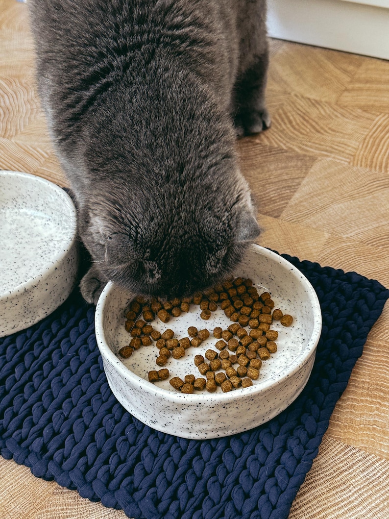 May include: A grey cat eating from a round, speckled white ceramic bowl filled with brown dry food. A second identical bowl sits nearby on a dark navy blue braided mat. The bowls have a textured, off-white finish with small black flecks.