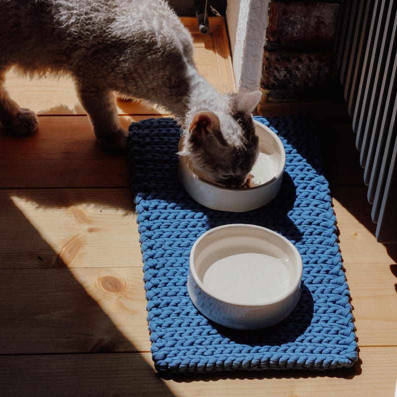 May include: A rectangular blue crocheted mat featuring a thick, braided texture. Two smooth, white ceramic bowls are placed on the mat, one containing food and the other containing water. The mat provides a stable base for the two pet feeding bowls.