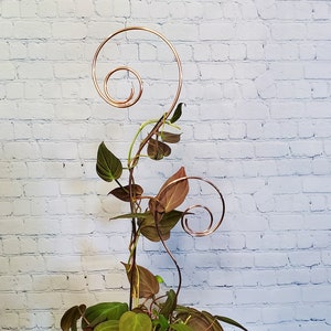 Copper plant stake, trellis for indoor plants, copper plant trellis, hoya trellis, garden stakes, plant gifts for mom