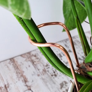 Plant Support Stake, Stem Holder For Leaning Plants, Indoor Copper Houseplant Accessories, Garden and Plant Gifts