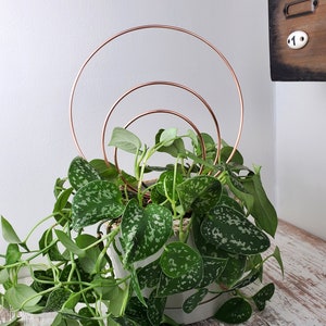 Handmade Copper Circle Plant Trellis, Vining Plant Support