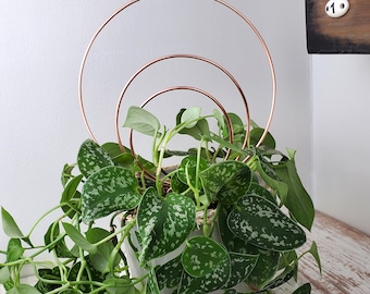 Handmade Copper Circle Plant Trellis, Vining Plant Support