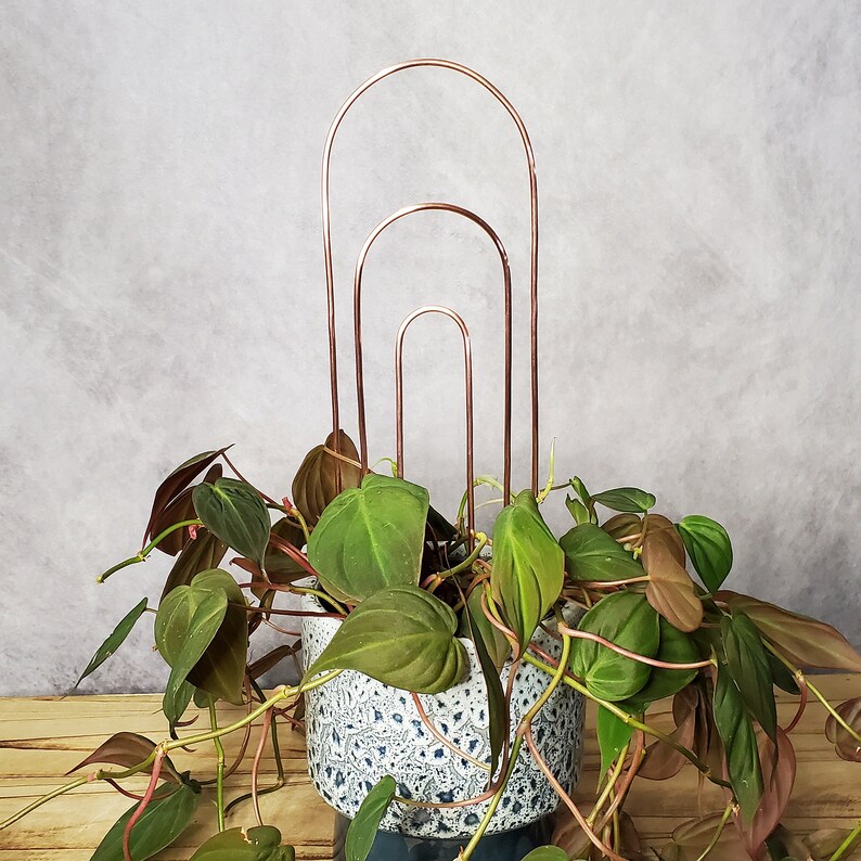 Copper Plant Trellis for Indoor Pots and Planters, Metal Houseplant