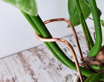 Plant support stake, indoor copper houseplant accessories, monstera and philodendron supports, plant gifts