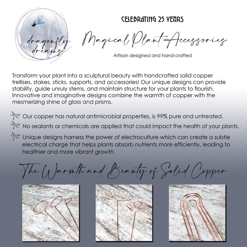 May include: Copper plant accessories, including trellises, stakes, and supports, designed to provide stability and structure for plants. The text "Magical Plant Accessories" is displayed above the image. The text "Celebrating 25 Years" is displayed above the text "Magical Plant Accessories".