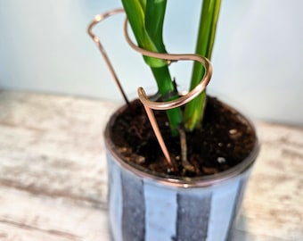 Plant Support Stake, Copper Stand, Houseplant Accessories, Stem Holder Sticks