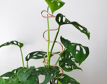 Copper plant stake, houseplant trellis and stem support, spring plant gifts