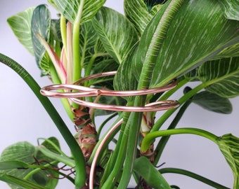 May include: A houseplant with green and white variegated leaves is supported by a copper plant stand. The stand is made of two circular hoops that are connected by a curved piece of copper.