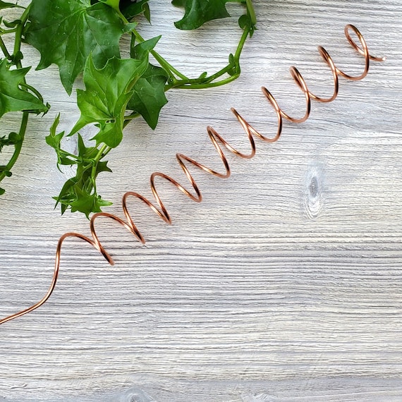 Electroculture Copper Garden Stake for Vegetables and Plants - Etsy
