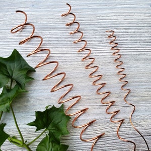 Electro culture rods for plants, copper electroculture garden stake, copper coil, plant antenna, garden stakes, plant gifts