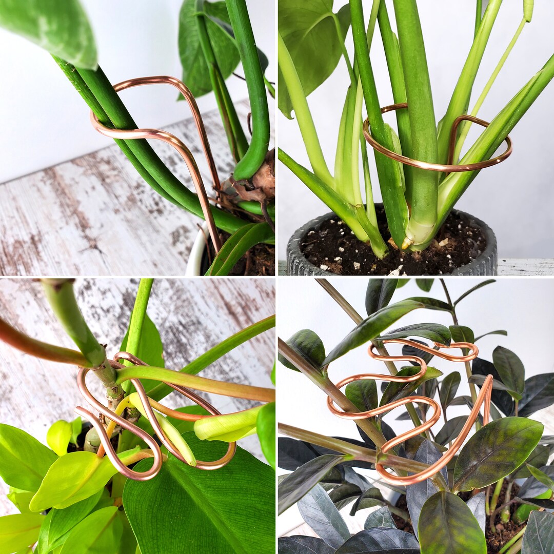 Plant Support Stake, Modern Copper Plant Stakes, Indoor Plant