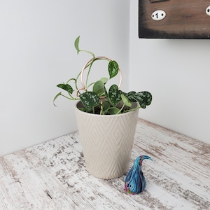 May include: A potted plant with green leaves growing up a copper wire ring. The plant is in a white ceramic pot with a diamond pattern. The pot is sitting on a white wooden surface.